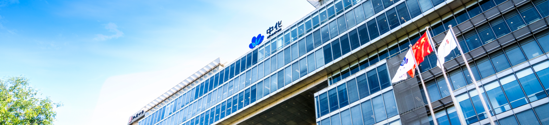 Sinochem Holdings > Board of Directors
