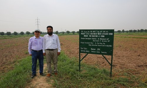 HybridwheatasuccessinPakistan,tospreadtoB&R