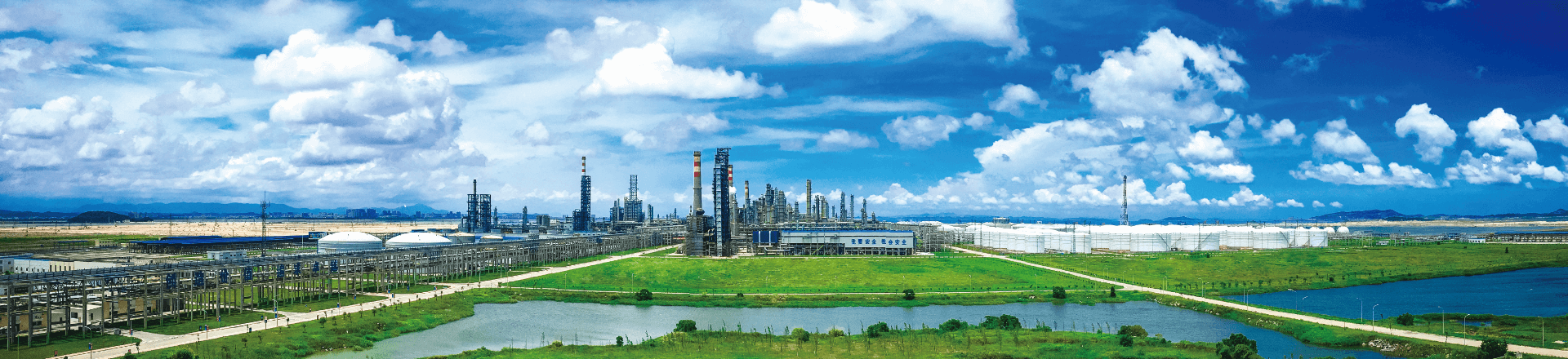Sinochem Holdings > Petrochemicals