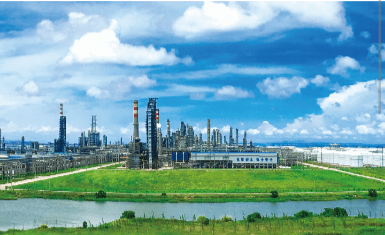 Sinochem Holdings > Petrochemicals